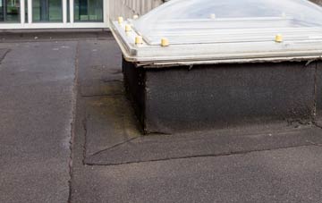 disadvantages of Seaton Junction flat roofs